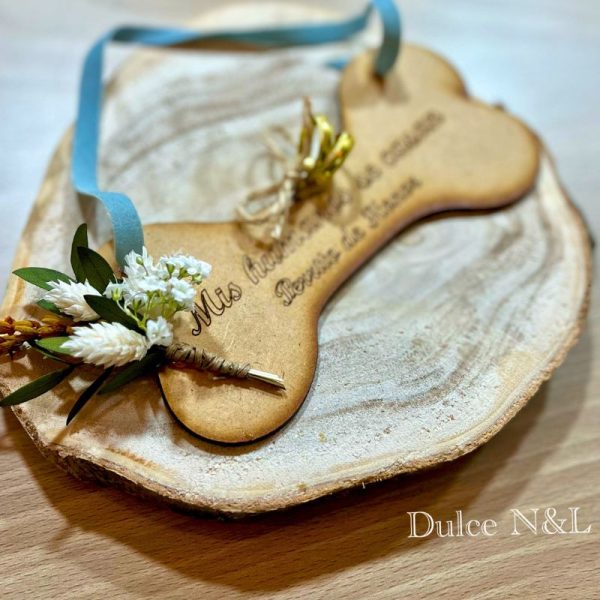 Collar mascota