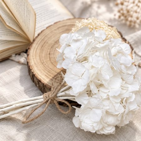 Hortensia preservada blanca